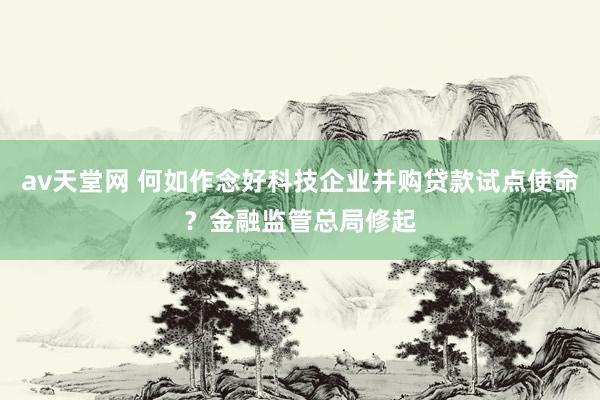 av天堂网 何如作念好科技企业并购贷款试点使命？金融监管总局修起