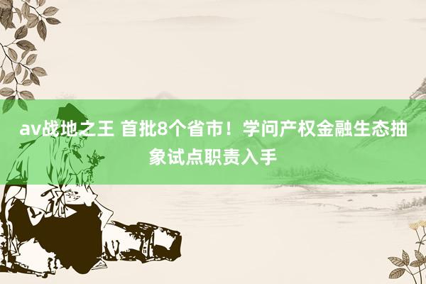 av战地之王 首批8个省市！学问产权金融生态抽象试点职责入手